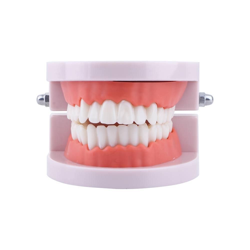 Medical Lab Study - Pro White Lab Typodont Demonstration Study