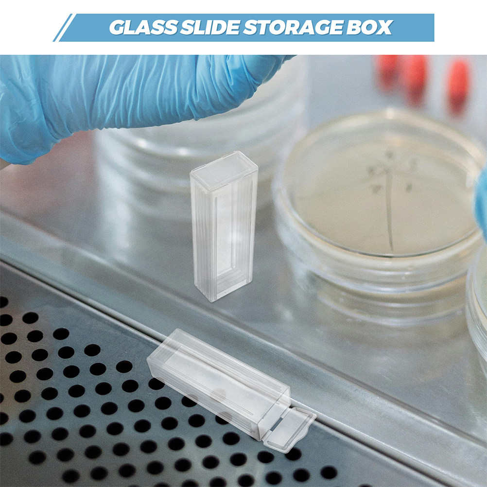 6Pcs Plastic for Microscope Sl - đánh giá và giá Pathology Slide Storage
