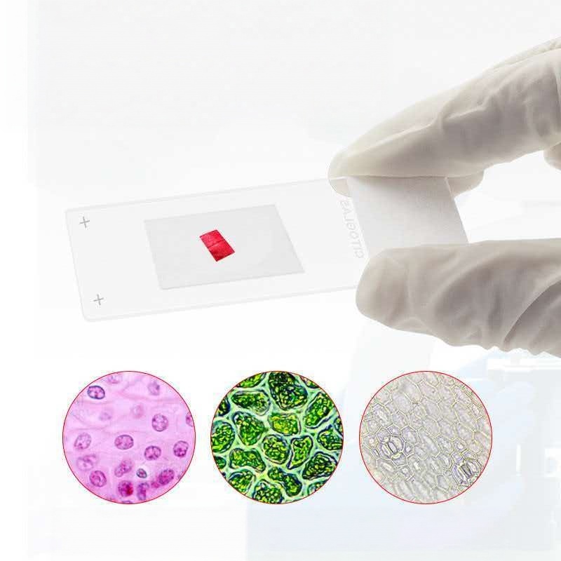 Citotest 50PCS Adhesive Slides - đánh giá và giá Pathology Slide Storage